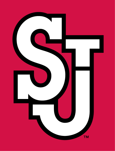 St. John's Red Storm 2007-Pres Alternate Logo diy iron on heat transfer...